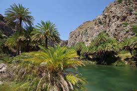 Check spelling or type a new query. Palmenstrand Preveli Beach Auf Kreta Kreta Palmenstrand Reiseziele