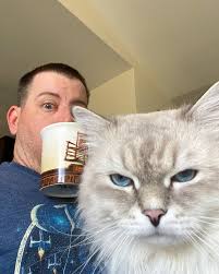 Bowie 👨🏻‍🎤⚡️| Travel