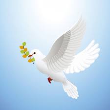 Freepik Risorse Grafiche Per Tutti Peace Dove Beautiful Birds Vector Free