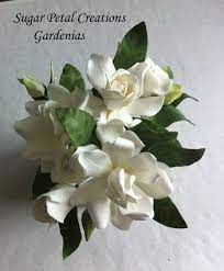 Pin By Kate Somburanayut On Assorted Artists Gumpaste Cake Decorations Sugar Flowers Tutorial Gum Paste Flowers Sugar Paste Flowers