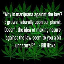 Funny Weed Quotes Funny Weed Sayings Funny Weed Picture Quotes