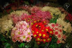 We did not find results for: Colorful Variety Of Flowers Sold In The Market Drawing Filter Stock Photo Picture And Royalty Free Image Image 69073160