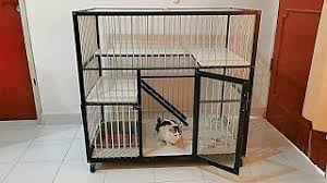 Kucing merupakan salah satu haiwan peliharaan kegemaran semua manusia. Membuat Kandang Kucing Murah