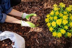 Pictured above is our large 8 x 24 foot raised bed garden and we have 3 additional 3 x 6 foot smaller beds. Grandma S Gardening Tips That Never Fail Loveproperty Com