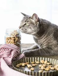 View top rated homemade cat food recipes with ratings and reviews. Homemade Cat Treats Recipe 3 Ingredient Salmon Cat Treats