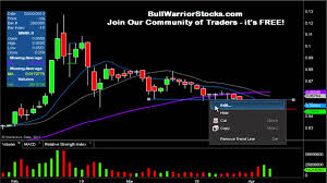 Mediswipe Inc Mwip Stock Trading Chart_4 4 2013