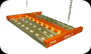 T5 Grow Light Guide