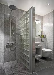 Alternativas Ao Box De Banheiro 15 Ideias Lindas Decoracao E Invencao Banheiros Modernos Ideias Para Casas De Banho Decoracao Banheiro Pequeno