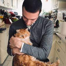 Ou le nouveau politique idéal. 490 Mentions J Aime 22 Commentaires Jordan Bardella Jordanbardella Sur Instagram Abandonne Chez Le Veterinaire Garfield A Retrouve Une Famille Il S A