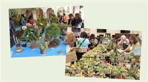 From the puya alpestris plant taken on mother's day 2019 at the san diego botanical gardens in. Garden Club Meet Up Sites Include Cactus And Succulent Society Winter Show University City Community Association Ucca