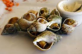 French Snails Bulots Mayonnaise Recipe Easy Delicious Recipes Mayonnaise Recipe Recipes Snails Recipe