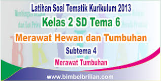 Pin Di Gambar Bunga