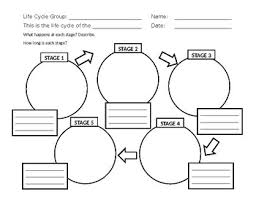 Life Cycle Diagram Template