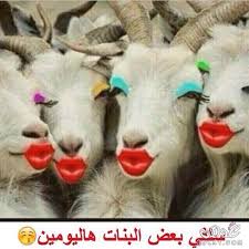 غالباً صور النساء الممتلئات الجسم التي تعلق فوق صالات الحانات. ØµÙˆØ± Ù‚Ø¨ÙŠØ­Ù‡ Ù…Ø¶Ø­ÙƒÙ‡