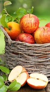 3 Colors Of Fall ѽ ڿڰ Nyrockphotogirl Fruit Fruit Photography Fruit And Veg