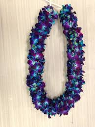 4 Ft Blue Orchid Garland Orc 13 Usa Made Orchid Wedding Garlands Wedding Garlands Blue Orchid Flower Orchid Flower Flower Garland Wedding Hawaiian wedding song 'virgin' 2.5. orchid flower flower garland wedding