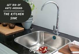 Mum saves daughter 7 from falling cupboard in rotting. How To Get Rid Of Ants Around The Kitchen Sink Tips Guide Pest Samurai