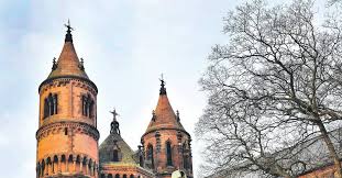 Order food online at punjabi haus, worms with tripadvisor: Todlicher Anschlag Wanderfalken Vom Wormser Dom Mit Kamikaze Tauben Vergiftet Update Nachrichten Aus Der Metropolregion Rhein Neckar Rnz