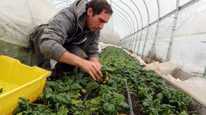 Am încheiat un acord cu un consorţiu naţional, în urma unei măsuri europene, şi astfel nu trebuie ca oamenii să mai achite contravaloarea de 500 de. MÄsura 6 1 Sprijin Pentru Instalarea Tinerilor Fermieri Va Fi LansatÄ In Luna Aprilie