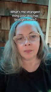 Bulldog Taxidermy Alabama