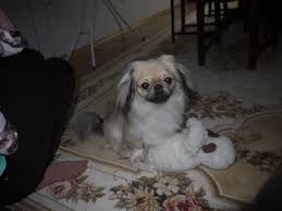 Familia este celula de baza a societetatii. Care Este Familia Lexicala A Cuvantului Biblioteca Brainly Ro