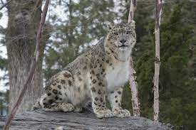 Central Park Zoo General Admission Ticket 2021 New York City At this intimate attraction, you can really get up close and personal with a variety of.