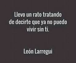 Que en tus ojos hay una sombra de gran pena. Pin De Vanessa Almeida En Leon Larregui Letras De Canciones Frases De Canciones Frases De Musica