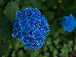 [Hình: images?q=tbn:ANd9GcTwlblobXse_tbmg6AES7H...A&usqp=CAU]