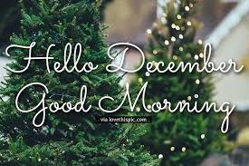 Pine Tree Hello December Good Morning Quote Morning Quotes Good Morning Quote Hello December Here you will find animated images of hearts and flowers, as well as many beautiful animated cups of coffee and tea with inscriptions. pine tree hello december good morning