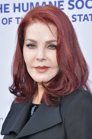 Priscilla ann presley (née wagner, changed by adoption to beaulieu; Priscilla Presley S Stunning Transformation Through The Years