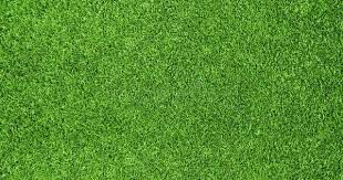 Green Grass Background Beautiful Green Grass Texture From Golf Course Sponsored Background Gras Green Grass Background Grass Background Grass Backdrops