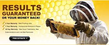 We relocate hundreds of swarms and hives each year. 1 Bee Removal San Diego Ca Pro Pacific Bee Removal