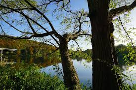 This file is licensed under the creative commons attribution 2.0 generic license. Iserlohn Seilersee Herbst Seiler Ralf Flickr