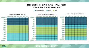 A Beginners Guide To Intermittent Fasting Daily Plan Upd