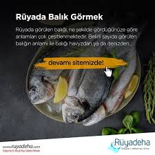Ruyada Balik Gormek Ne Anlama Geliyor 2020 Balik Yorum