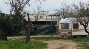 Se vende las leonas, una mansión de cine en mallorca los propietarios actuales de la finca buscan un dueño para esta impresionante mansión, donde se celebraron fiestas de personalidades de la. Contenido Relacionado Con La Tematica Leoparda Noticias De Mallorca