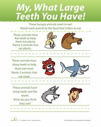 Animal Teeth Worksheet Education Com Animal Teeth Teeth Science For Kids