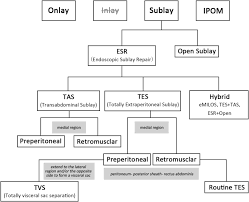 It is a rare disorder that affects very few people. A Preliminary Multicenter Evaluation Of Endoscopic Sublay Repair For Ventral Hernia From China Bmc Surgery Full Text