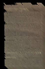 Image result for Vernonia madefacta