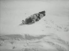 There is an astonishing sequence in robert j. Nanook Of The North Wikipedia Republished Wiki 2