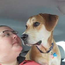 Tony Teschner's Instagram, Twitter & Facebook