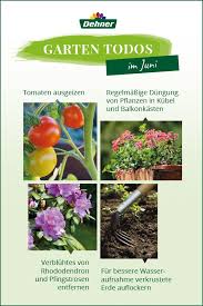 Gartenarbeiten Im Juni In 2020 Sommergarten Pflanzen Garten