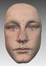 Facial symmetry may be attractive, but not because it indicates good health 