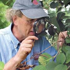 Maybe you would like to learn more about one of these? What Made My Good Plant Go Bad Finegardening