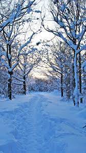 May 26, 2021 · this winter, deck up your iphone with some mesmerizingly beautiful winter iphone wallpapers to match your mood. Nature Winter Iphone Wallpapers Top Free Nature Winter Iphone Backgrounds Wallpaperaccess