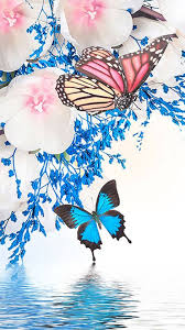 Download Wallpaper Butterfly Android 2021 Android Wallpapers