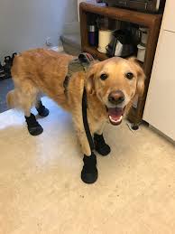 1 or 2 bedroom rental from private owner