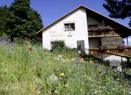 83 likes · 7 were here. 750 Jahre Todtnauberg Liebenswertes Todtnauberg Urlaub Im Schwarzwald