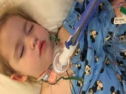 Fundraiser by Kristine Halstead : Richard Graeff And Family