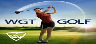 Gaming is a billion dollar industry, but you don't have to spend a penny to play some of the best games online. Furios Deasupra Afacere Golf Games For Pc Free Download Full Version Nortonmoms Org